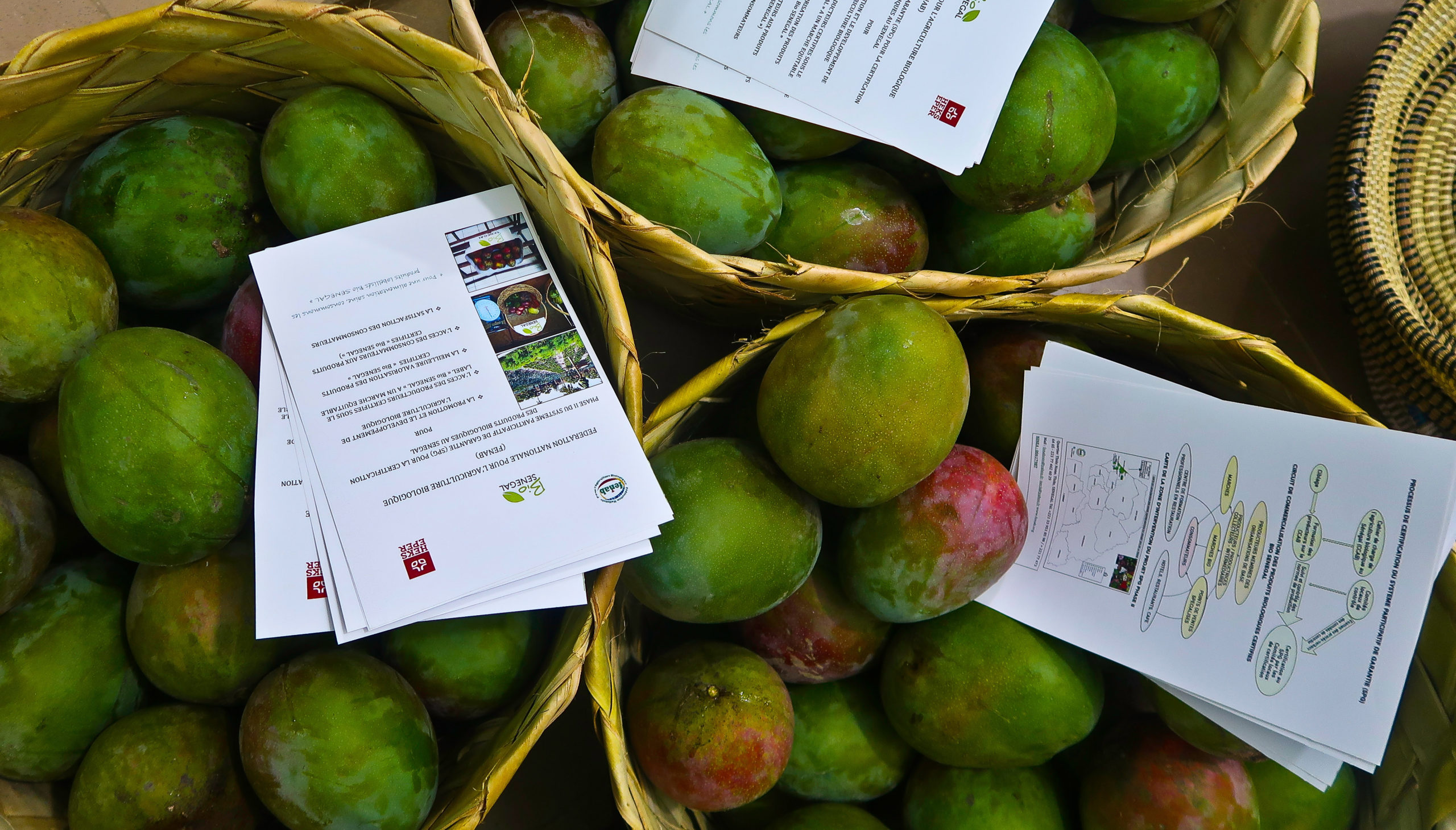 Par exemple, des mangues biologiques certifiées